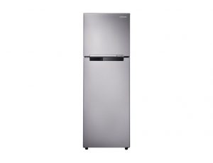 Samsung Inverter 255 lít RT25HAR4DSA/SV