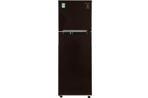 Samsung Inverter 256 lít RT25M4032BY/SV