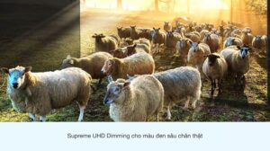tivi_samsung_2-compressed__15__433f060d946046189acca7a5813f254d.jpg