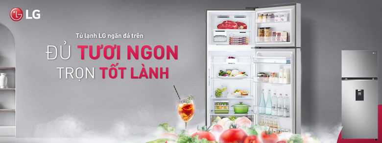Tủ lạnh LG Inverter 264 lít GV-D262PS