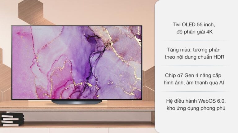 vi-vn-smart-oled-lg-4k-55-inch-55b1pta-1_865a2409ecc3401ba96026b1326ef293.jpg