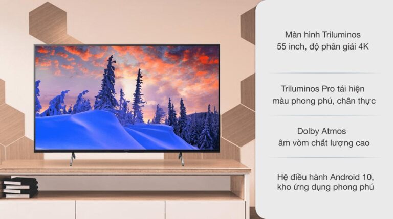 vi-vn-vi-vn-led-sony-kd-55x80j_653f2f4c54644e7eb1b17e5c4855de21.jpg